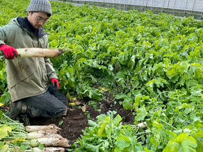 【2026年3月号】独立志望の仲間たちへ