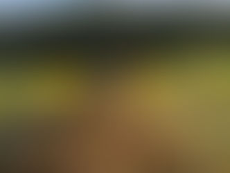 【10月号】本質