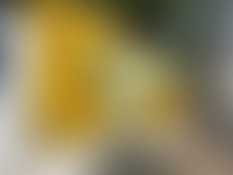 【10月号】畑のつぶやき新聞