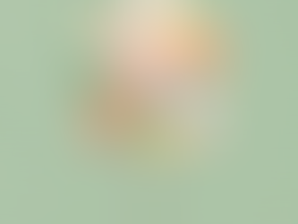 2026 Season Announced!