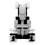 Thumbnail: Maxwell