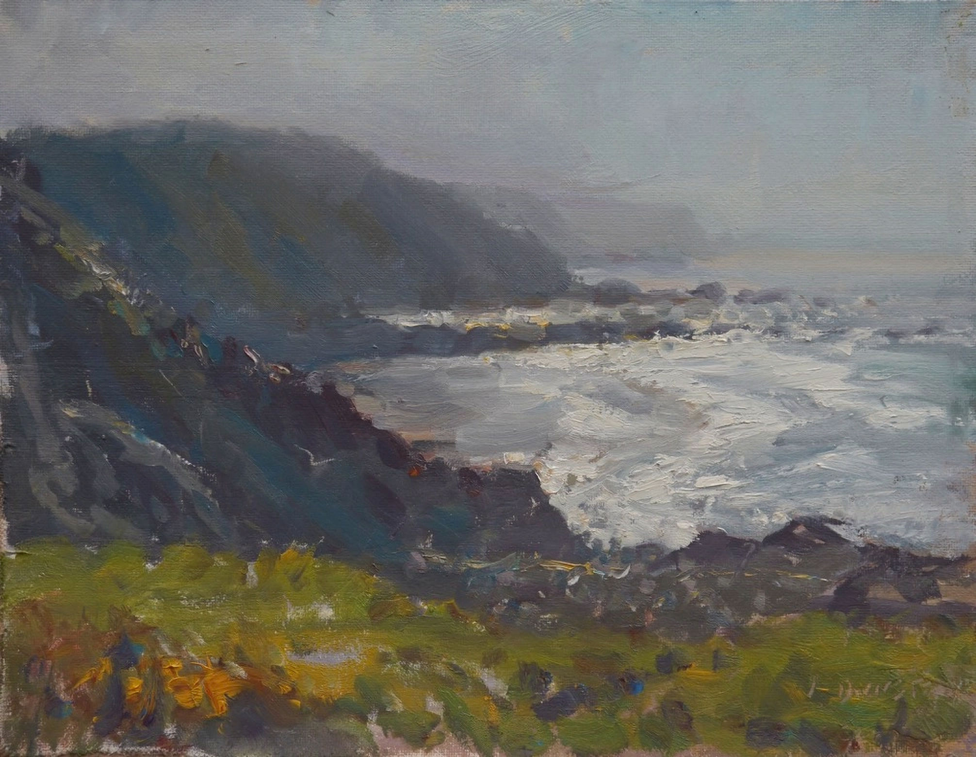 Spring views from the coast path