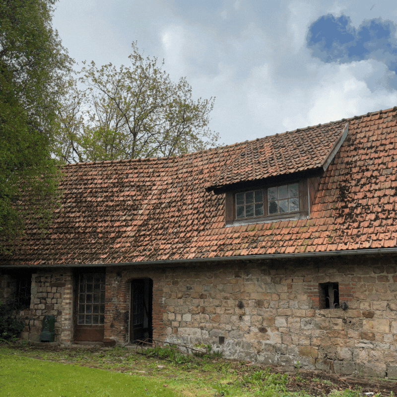 CHEVALIER_GIF PHOTOS (1).gif