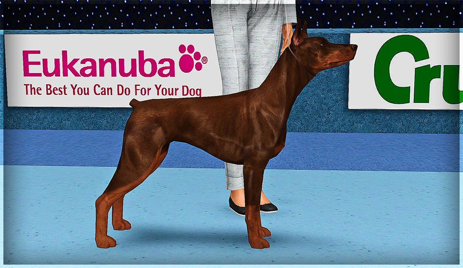 united kennel club breeds