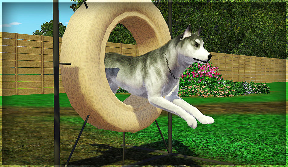 united kennel club breeds