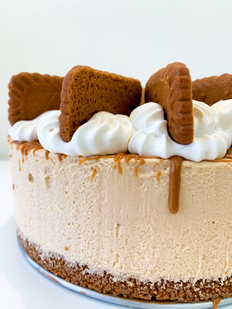 Vegan Lotus Biscoff Cheesecake (Single Slice) 