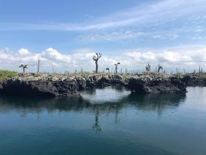 Unusual landscapes and natural habitats