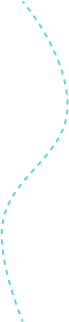 Vector 1.png