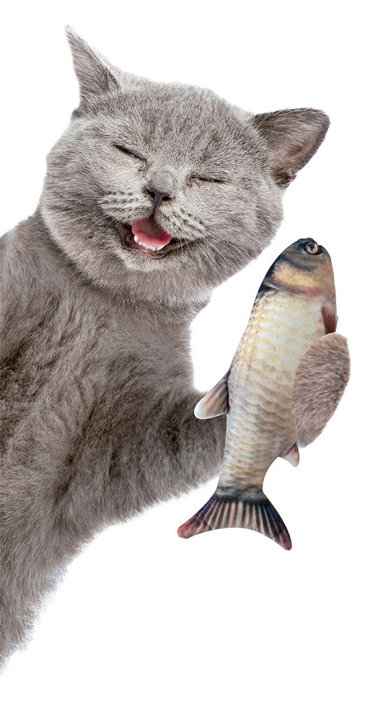 Thumbnail: MAGIC FISH