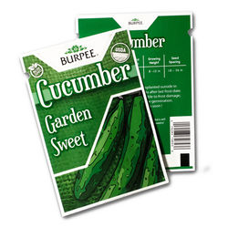 Cucumber