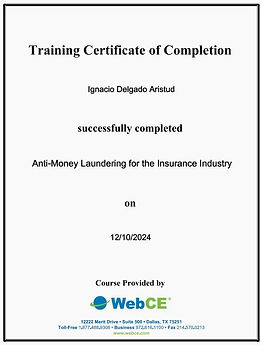 Certificate - AML - WebCE (Ignacio Delgado).jpg