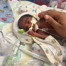 Destination Home family 506