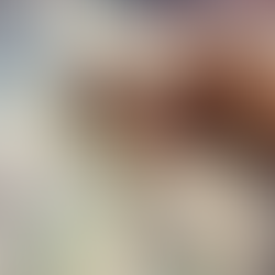 Destination Home family 506