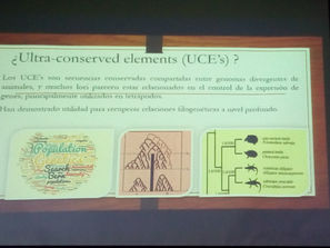 Seminarios