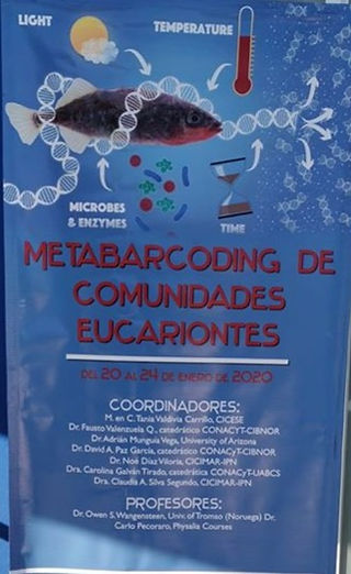 Ed_83686672_1653640968110878_63422928821
