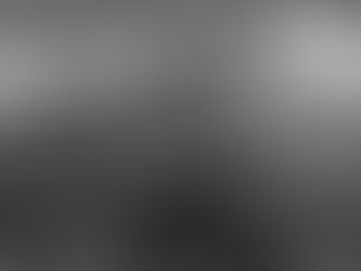 Monitoreo 2016: El Portugués