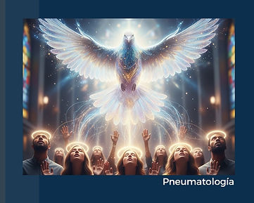 WhatsApp Image 2026-03-09 at 1.06.35 PM (1).jpeg