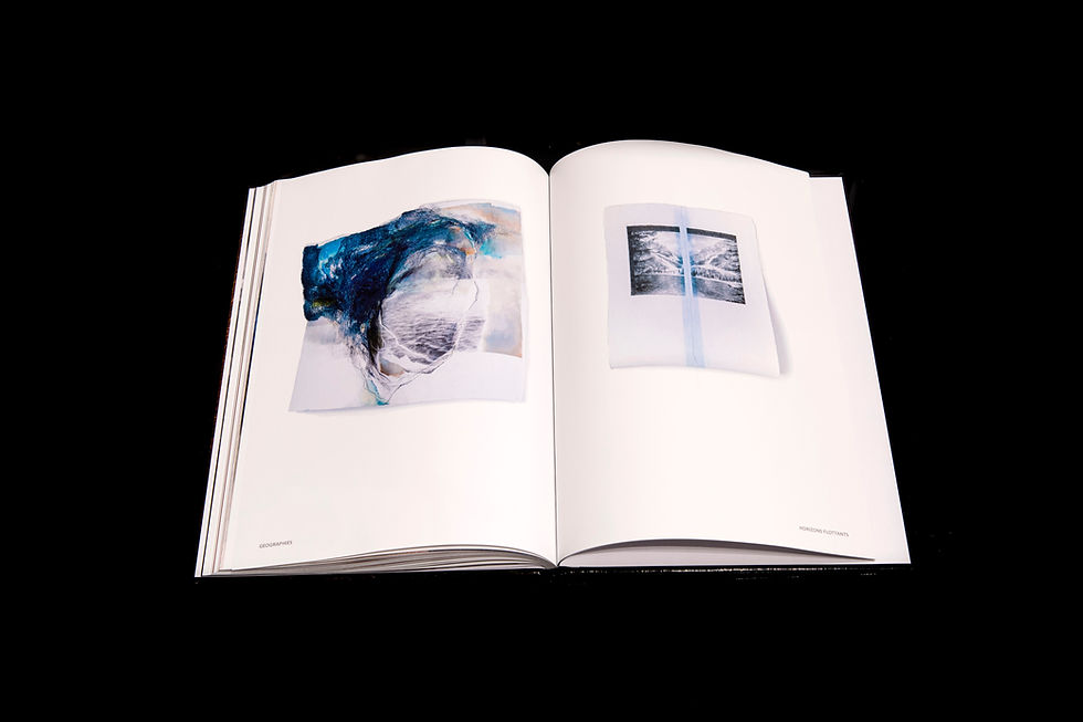 Miniatura: ECORCE -SONIA ANICETO