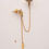 Miniature : Boucle d'oreille mono boucle Sky II