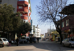 Mistik Gezgin - Ayhan Balıbaşa
