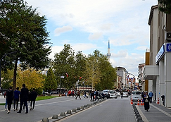 Mistik Gezgin - Ayhan Balıbaşa - ERBAA