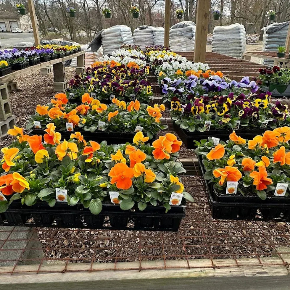 Untitled design (2).jpg