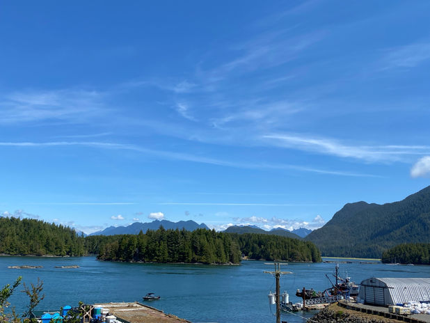 Scenic bay with forested islands and mountains