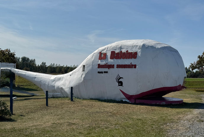 White whale souvenir shop reading "La Baleine"