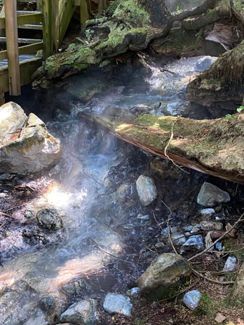 Rocky stream with flowing water
