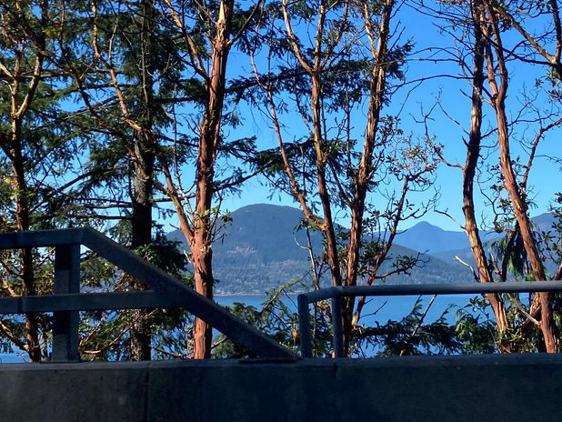 Scenic view of mountains and water through forest trees
