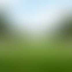 Everything You Need to Know About the 2026 US Open Golf Championship