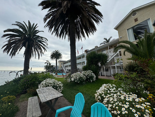 Coastal resort with palm trees, blue chairs, and ocean