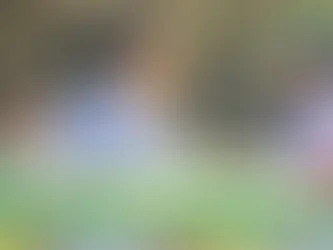 Largest 36-hole lead in Masters history, Mr. Rory McIlroy