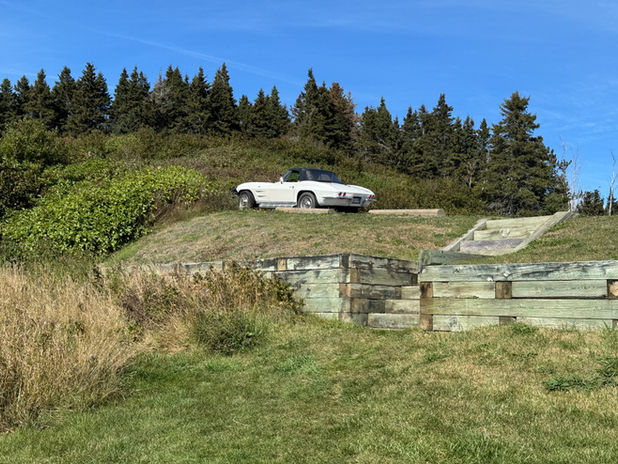 White car on a grassy hill with trees under a blue sky
