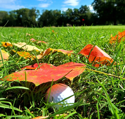 Fall Golf