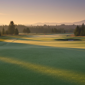Why Marketing Is Essential for Your Golf Course Success