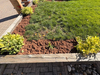 For The Love Of Plants -