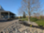 PXL_20250422_222114544.jpg