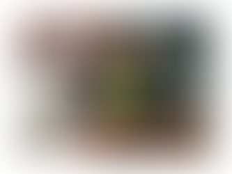 An image of the terraplanter by company Tevaplanter, via their kickstarter campaign