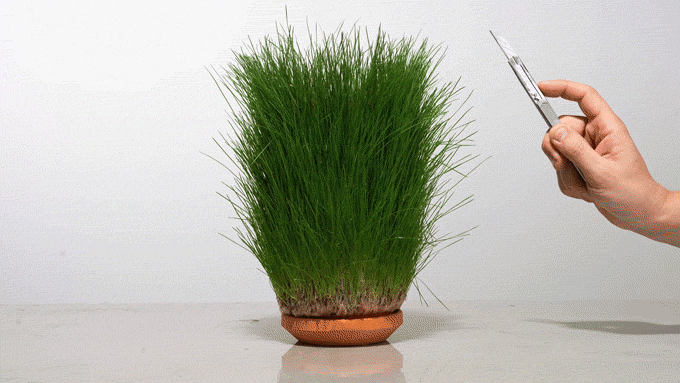 Promotional GIFs of the terraplanter visuals by company Tevaplanter, via their kickstarter campaign