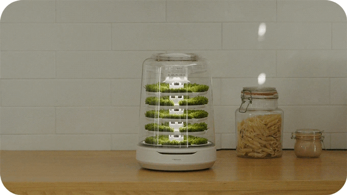 Kickstarter Campaign GIFs