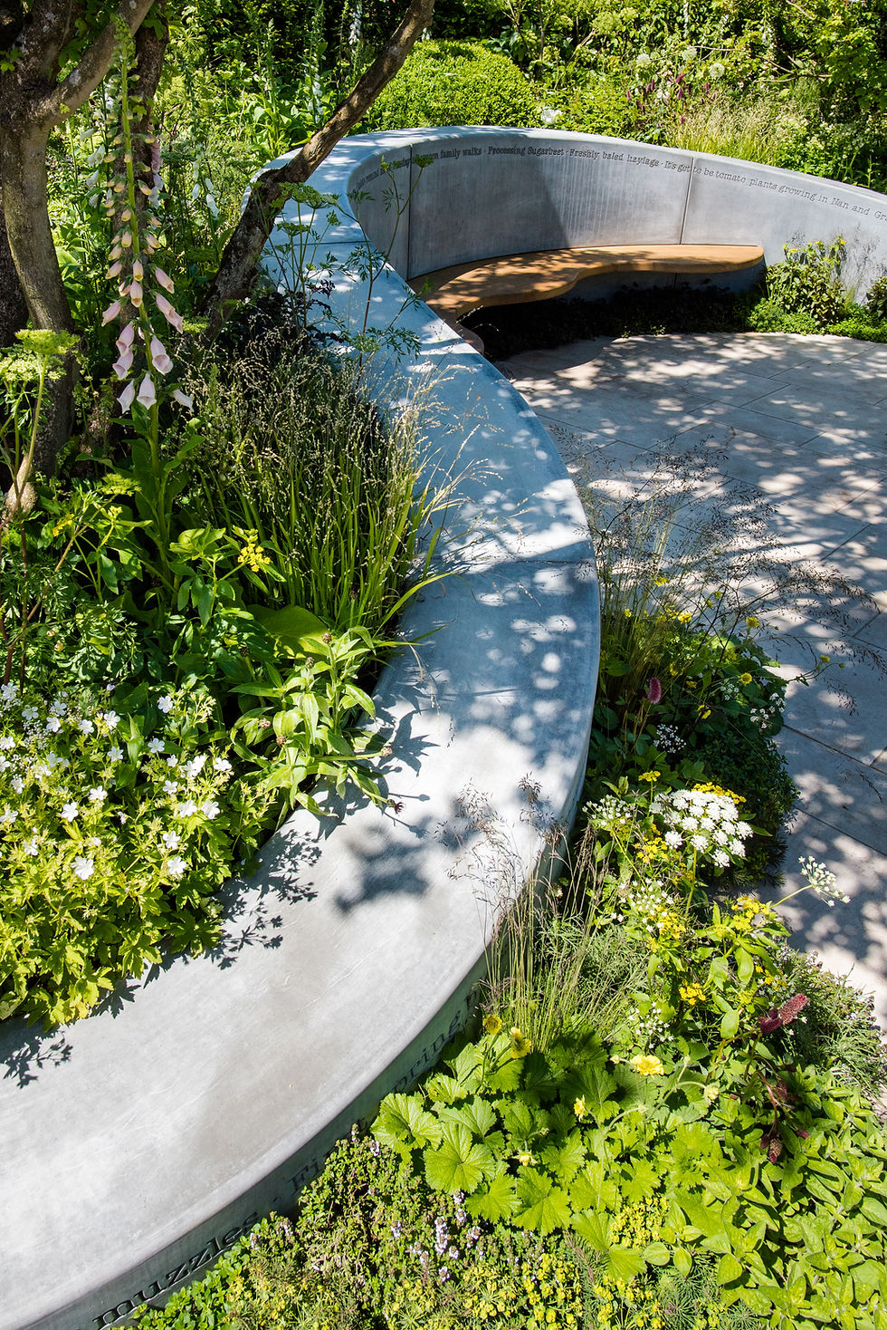 contemporary landscape design with curved integrated timber seating, naturalistic planting surrounds the garden with a mix of grasses, perennials and wildflowers