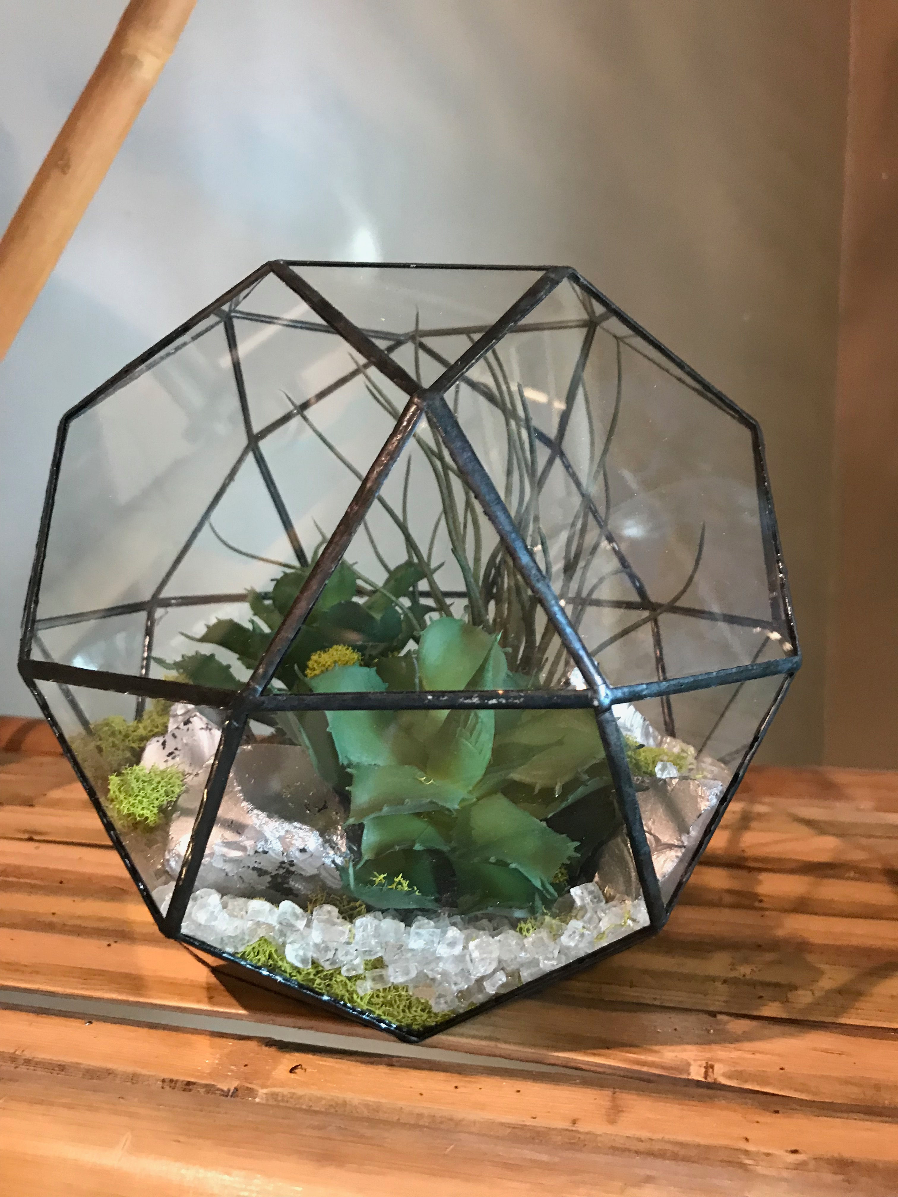 Hex Terrarium - Faux