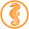 Seepferdchen.gif