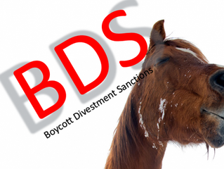 Cambridge prof. refuses to answer Israeli girl's questions on horses, why? BDS