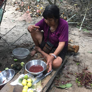 Tierravida Benxote | Ni Bero |
rainforest retreats,
peru retreat,
master plant dieta,
jungle lodge,
important medicinal plants,
jungle guide,
shipibo shaman,
pucallpa ayahuasca retreat