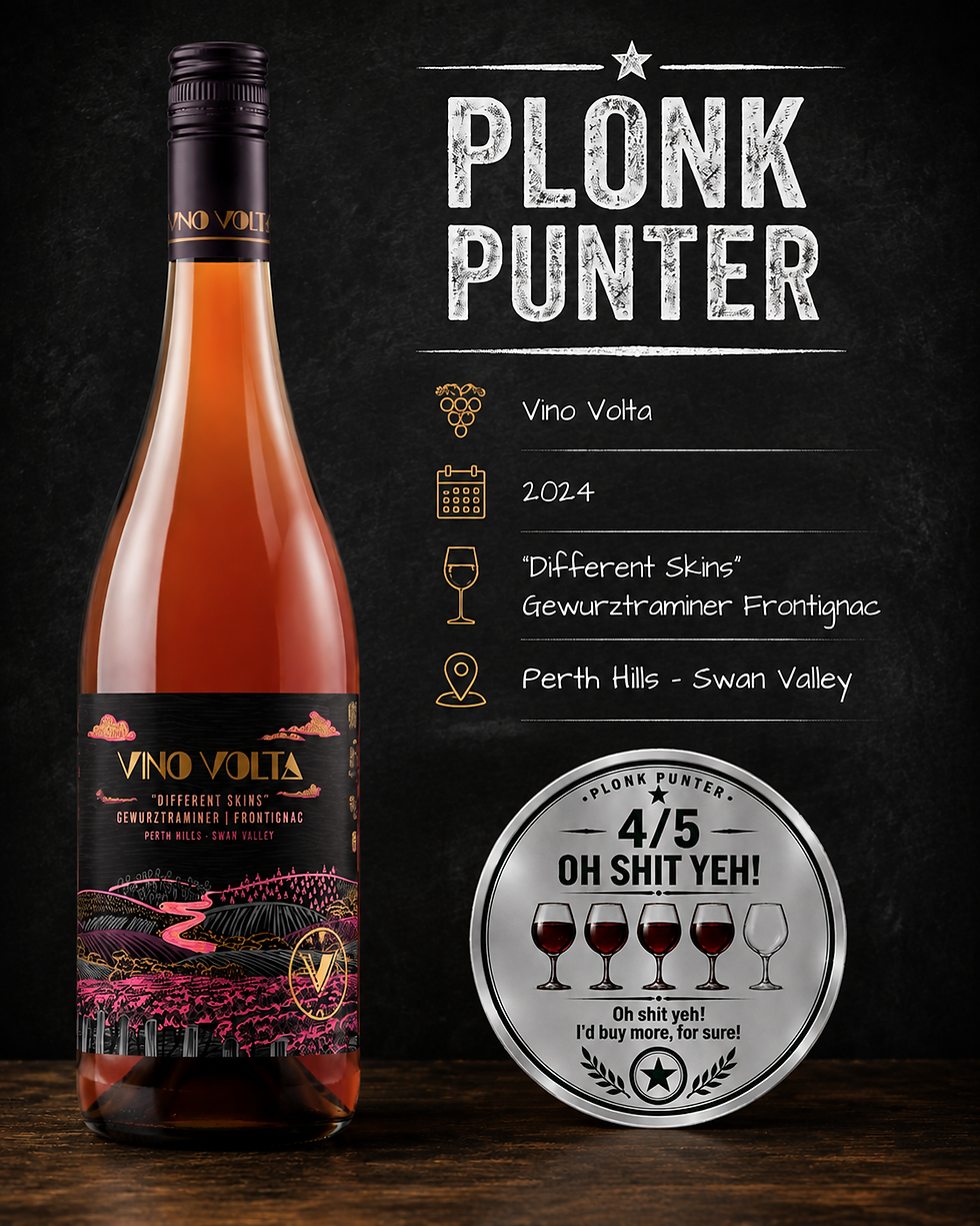 VinoVolta Different Skins 2024