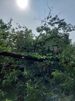 Tree service equipment used by C&C Tree Service in Southern Illinois