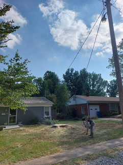 C&C Tree Service working in Williamson County, Southern Illinois