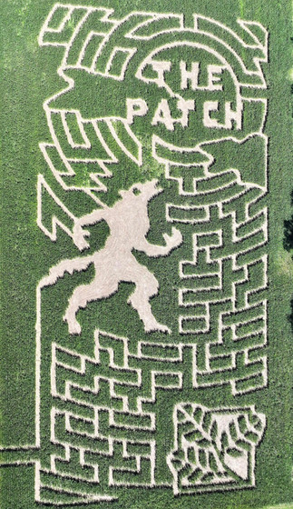 Corn maze at The Patch pumpkin patch in Southern Illinois